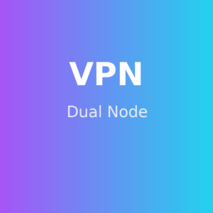 Daqi VPN - 双节点（1 个月）
